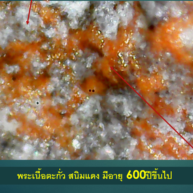  Calcium Sulfate  Reaction