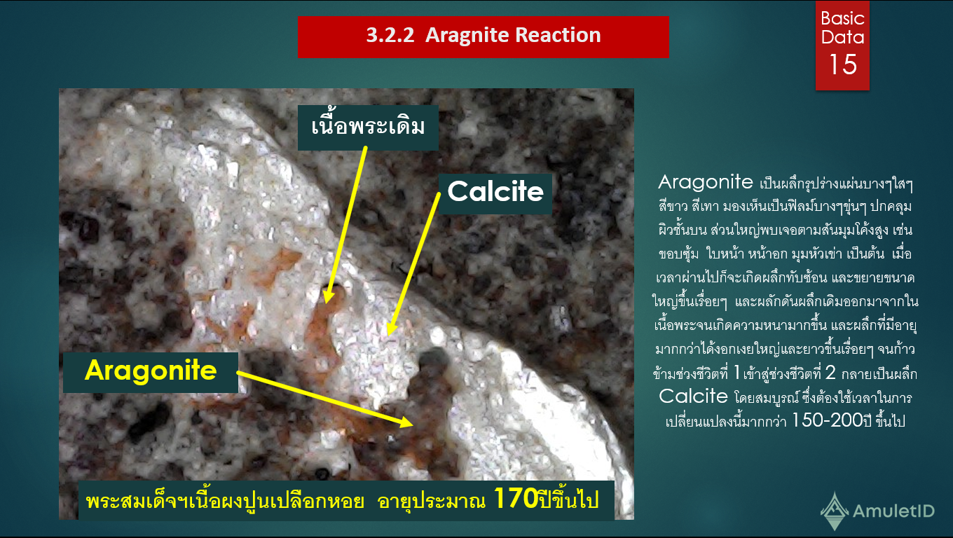 ปฎิกิริยาเคมีของแคลไซด์