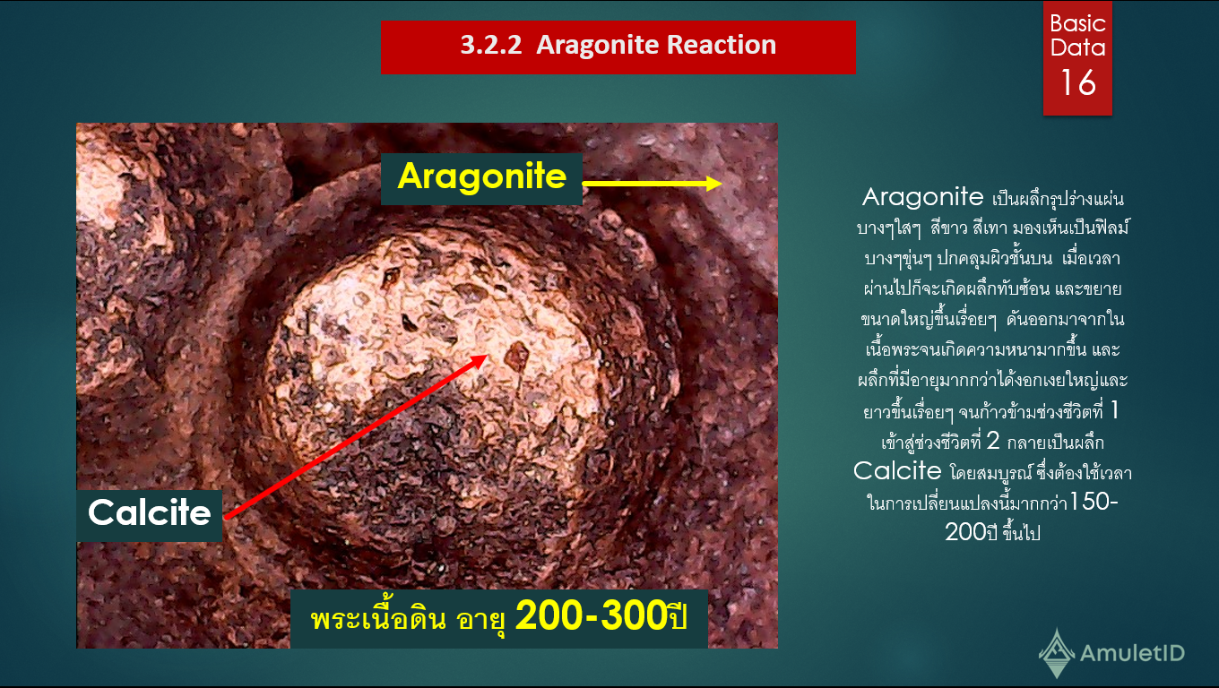 ปฎิกิริยาเคมีของแคลไซด์