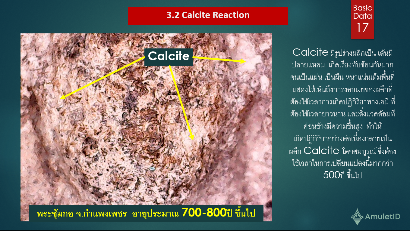ปฎิกิริยาเคมีของแคลไซด์