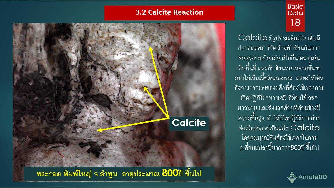 ปฎิกิริยาเคมีของแคลไซด์